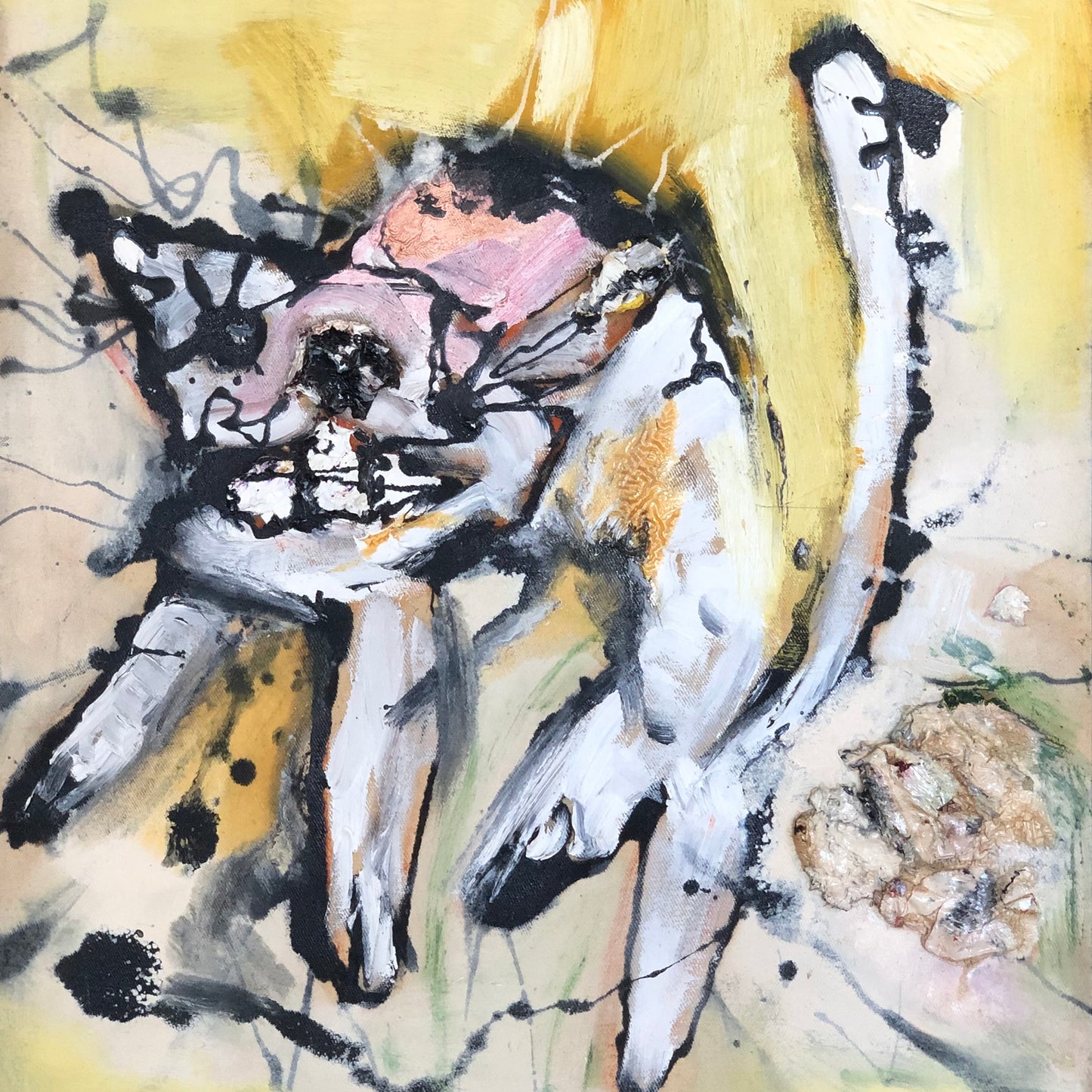 The Cat Who is Pooing