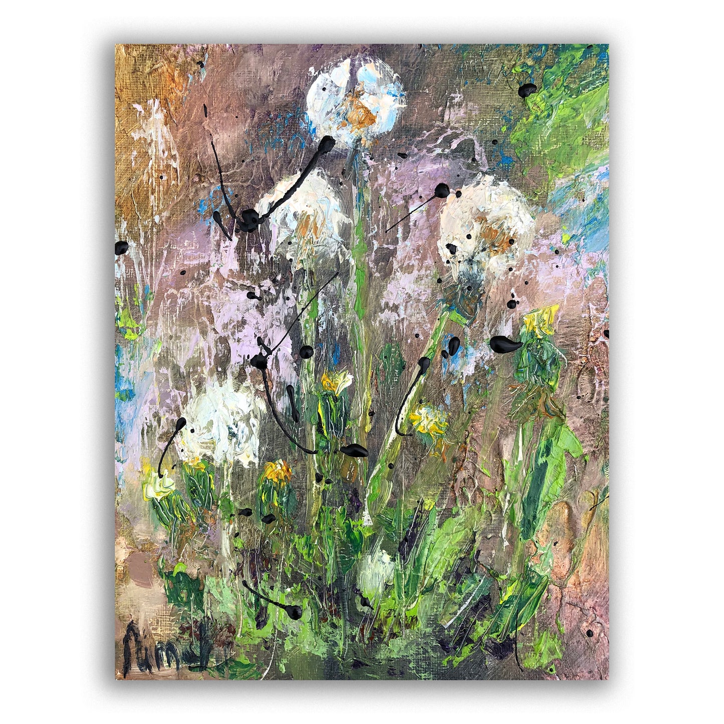 Dandelion Dreams