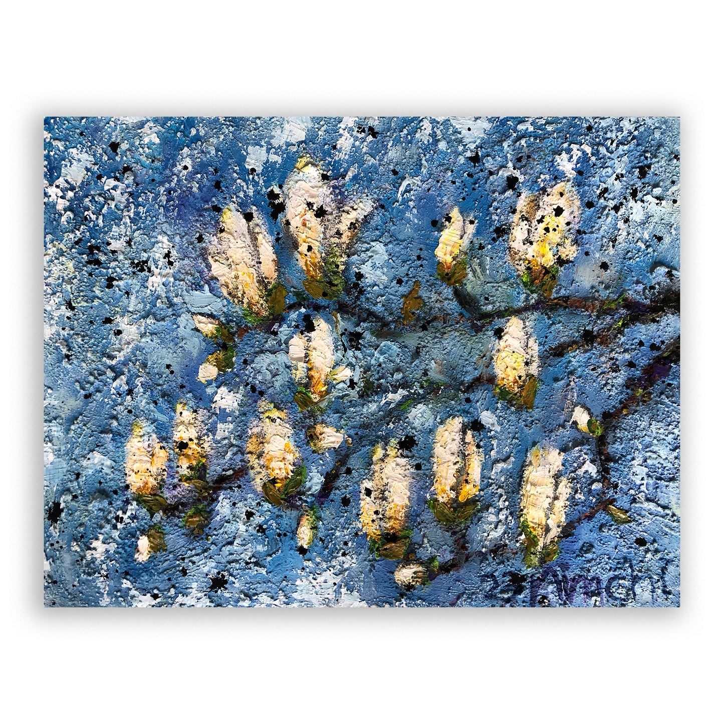 Magnolia Blossoms IV