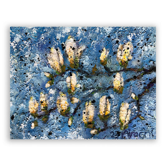 Magnolia Blossoms IV